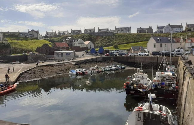 Elmbank House Apartment With Island Views - Foto 25