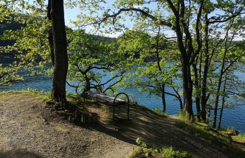 Top Ferienwohnung am Diemelsee, Sauerland Nähe Willingen Winterberg - Foto 59