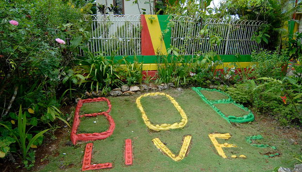 Entdecken Sie Ocho Rios, Dunn's River Falls und 9 Miles – Ganztägige Tour - Foto 4