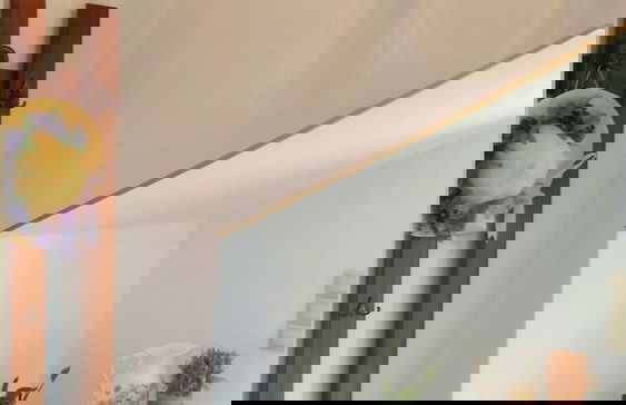 The Garden of Zephyrus - Foto 27