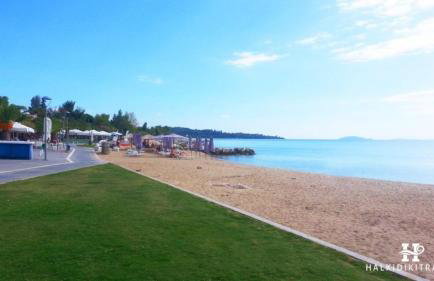 Angel House - Photo 22