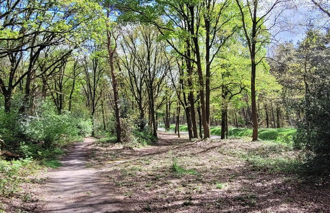 Villa in Overloon Near War Museum - Foto 19