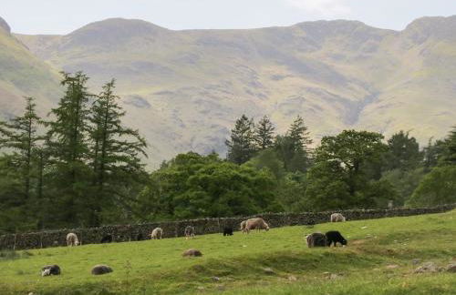 Betty's Loft - Foto 30