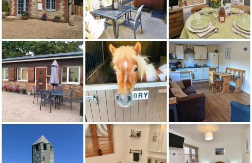 The Pepper pot - Photo 1