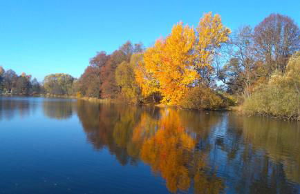 Ferienwohnung Brunow "In der Natur Zuhause" - Foto 32