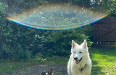 Różany Domek - Foto 25