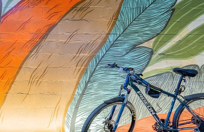 Cozy 1BR in Santa Ana - Photo 5