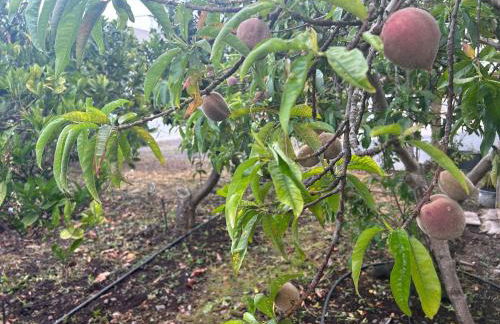 Casa Lucia - Foto 31