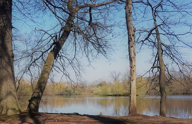 Holiday Home in Netherlands With Pond View - Photo 33