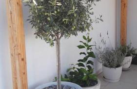 Little Penthouse with Open Terrace - Photo 15