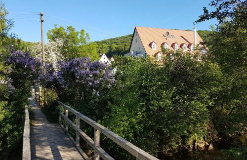 Apartment Pegnitzmühle mit Pegnitzinsel - Foto 1