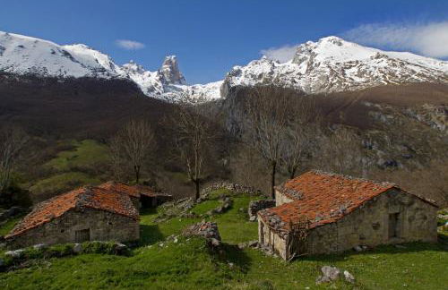 Apartamentos la Regoria - Foto 50