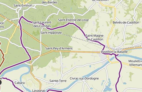 L'Escapade d'Émilion - Foto 53