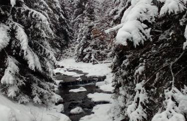 Przystanek Bystra - Foto 13