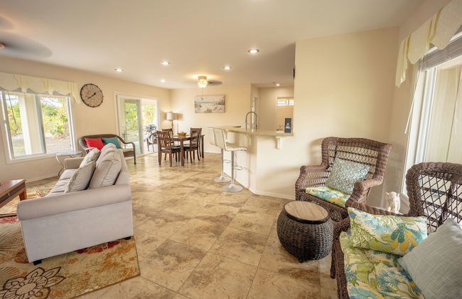 The Blissful Orchard - Foto 18