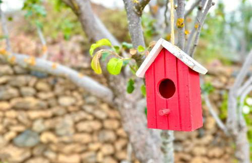 Casa Rural Margarita, relax, vistas, jardín - Foto 9