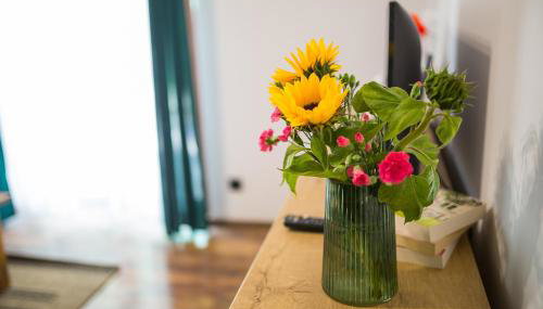 Malinowy Chruśniak Apartamenty - Foto 5