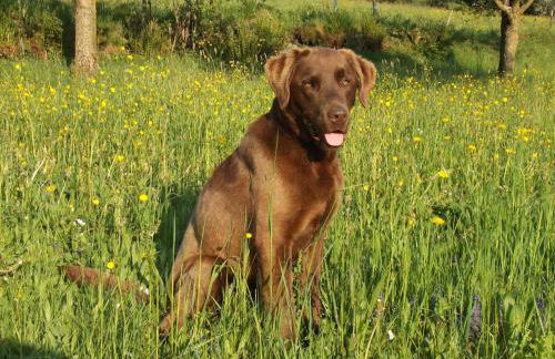 Ferienwohnung Lindenhof - Foto 32