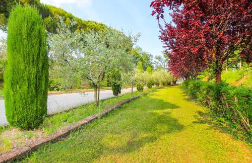 Lake & Country Holidays - Foto 47