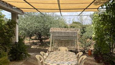 Domo Austinu - Abbasanta - Foto 2, Garden