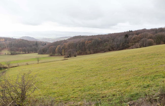 Finnhutte in Trusetal Near Waterfall - Foto 34