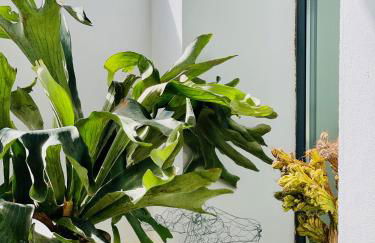 CASA MIRABEL - Foto 25