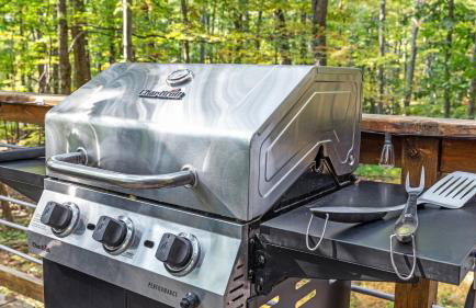 Wooded Nest, Cozy 3BR Chalet Near Spas, Downtown Berkeley Springs & Hiking - Foto 6