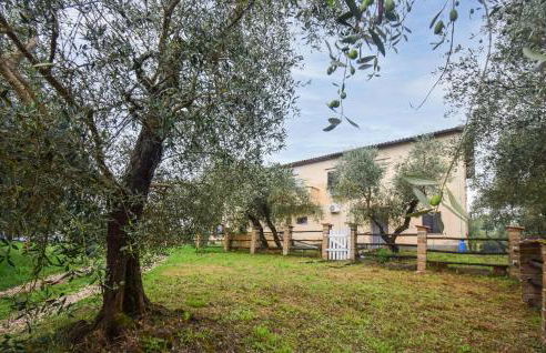 3 Bedroom Cozy Home In Vignanello - Foto 10