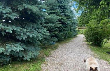 Ranczo nad Stawem - Foto 13