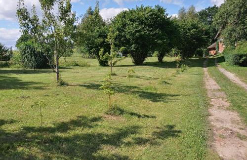 Agroturystyka Pod Dębem - Foto 14