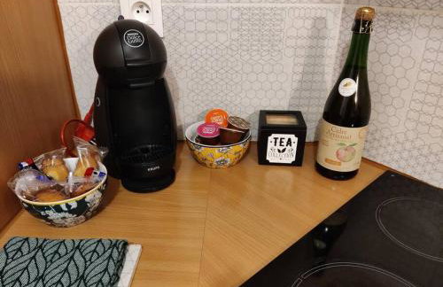 Le TROPICA Appartement 2 chambres, plein Sud centre ville de VITRÉ - Foto 9