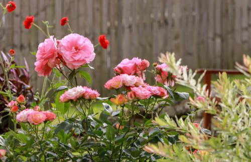 Simply Suite - Foto 33