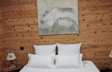 Le Renne Blanc Pyrénées de France - Foto 1