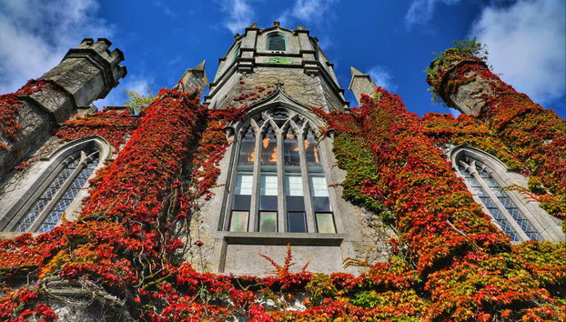 Galway Guided Walking Tour - Foto 3