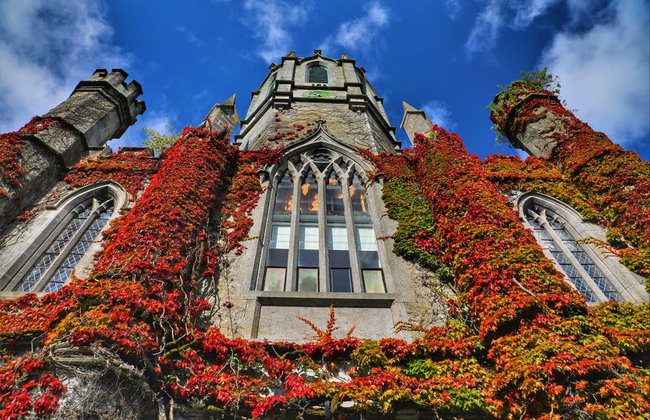 Visita guiada por Galway - Foto 5