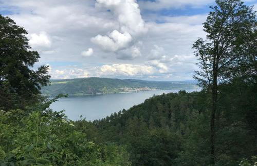 Über den Dächern von Bodman - Foto 23