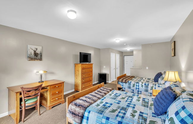 Green Goose Lodge - Studio Apt Sleeps 4 Condo - Foto 16