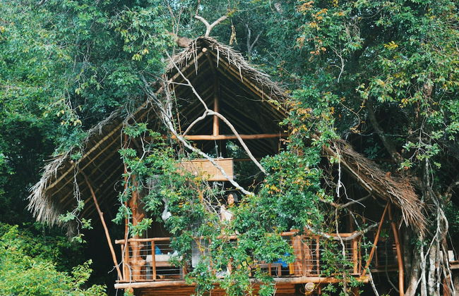 Back of Beyond - Dehigaha Ela - Photo 15