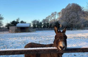 All Manor Of Events - Glamping Pods - Foto 63