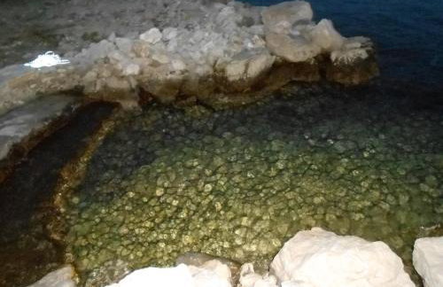 STONE House "DAN" - Foto 26