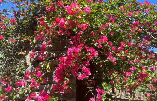 El Alpendre- Entre plataneras, a 10 minutos playa - Foto 29