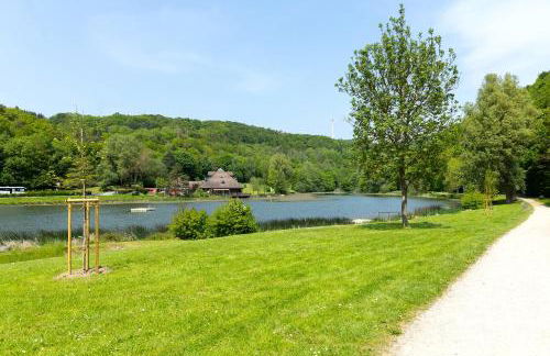 5 Sterne Ferienhaus Tommy mit Kamin, Seeblick und großer Terrasse - Foto 28