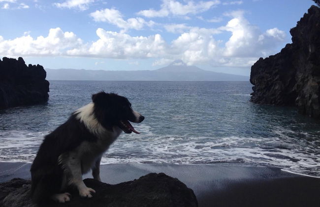 Make It Happen Farm - Foto 37