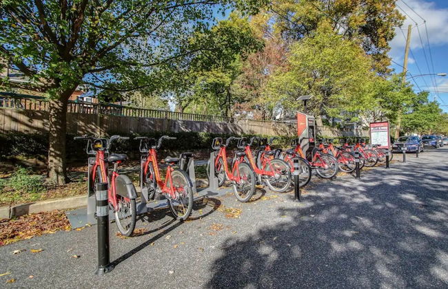 Private Studio in Serene DC Neighborhood - Photo 28