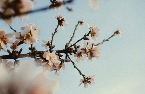 Cal Teca Rural - Foto 36