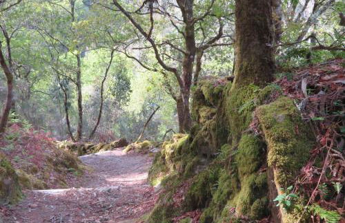 Villa Casa de Campo Los Carballos - Photo 57