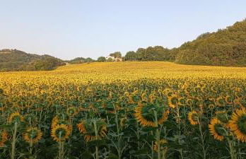 Casa La Gorga - Foto 35