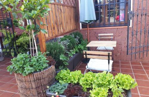Apartamento tranquilo en una casa con jardín - Foto 11