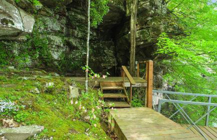 Wonderland Cabin - Enchanting Lakeside Sanctuary - Foto 28