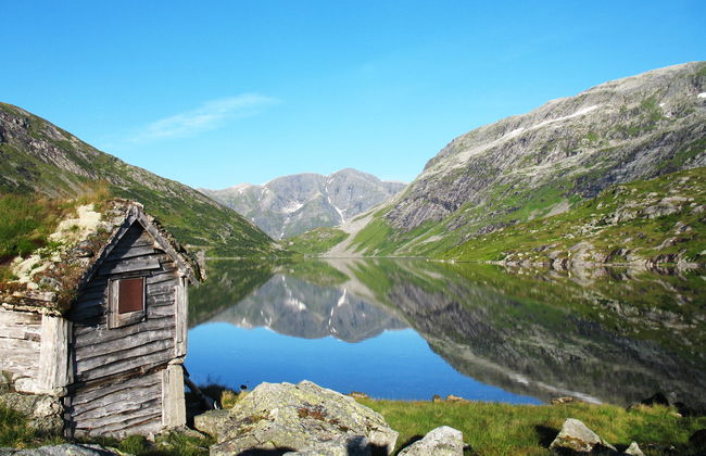 Fosseblikk - Foto 15